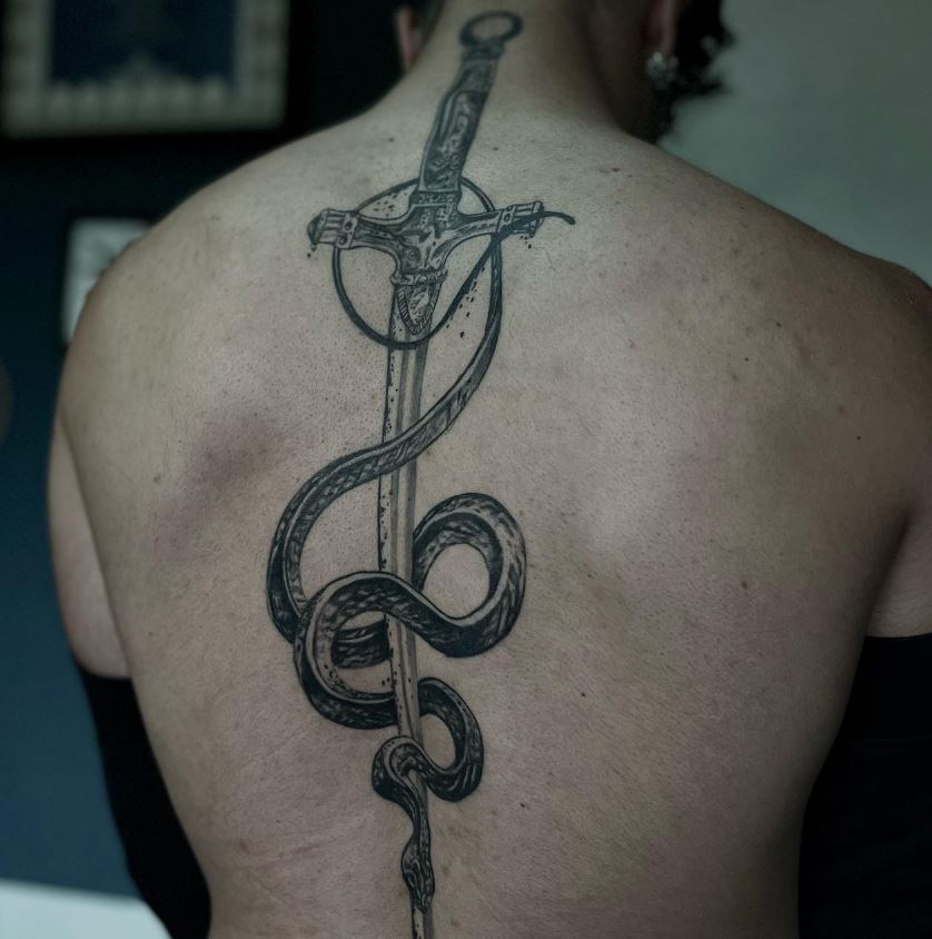 Il serpente e la spada