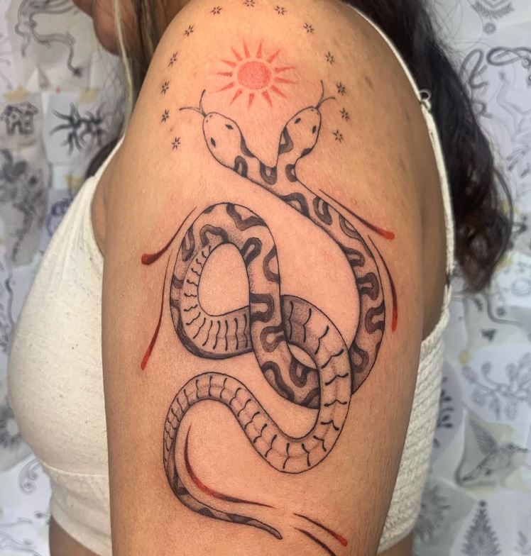 Serpente a due teste