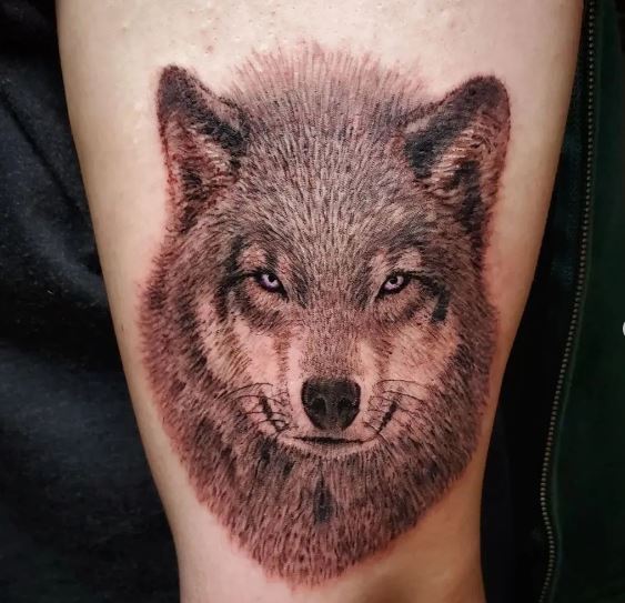 Lupo realistico coscia