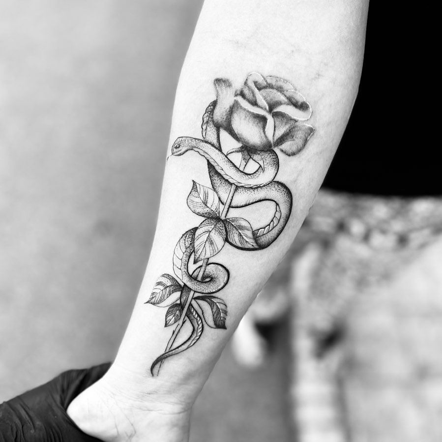 Rosa con Serpente intorno