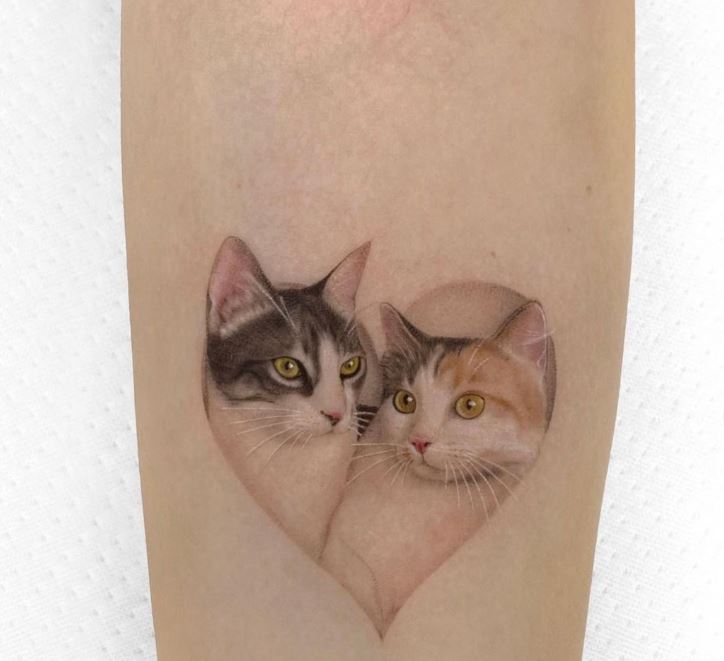 Gattini adorabili sul braccio
