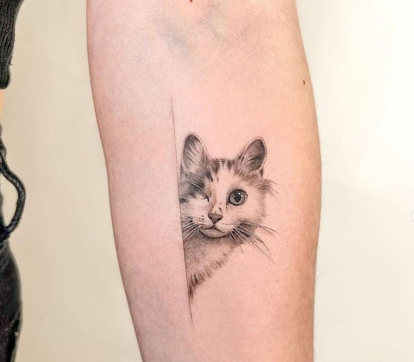 Gattino con occhio chiuso