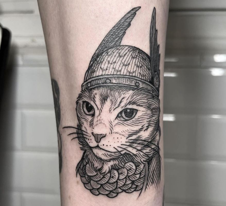 Gatto con l'elmetto
