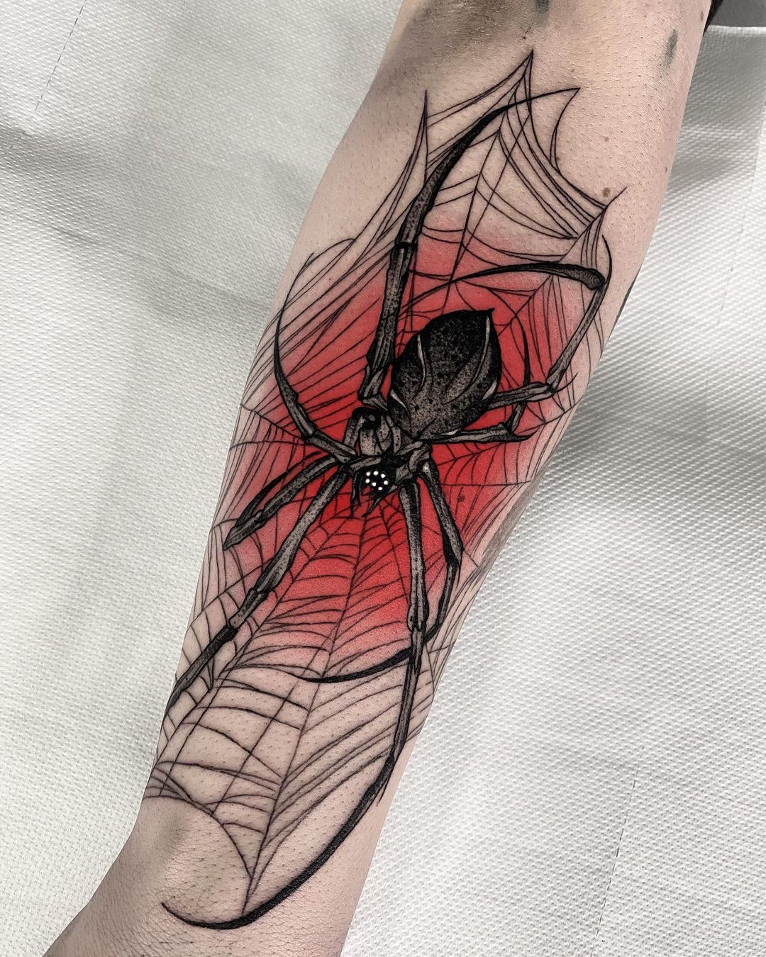 Ragno con ragnatela di colore rosso