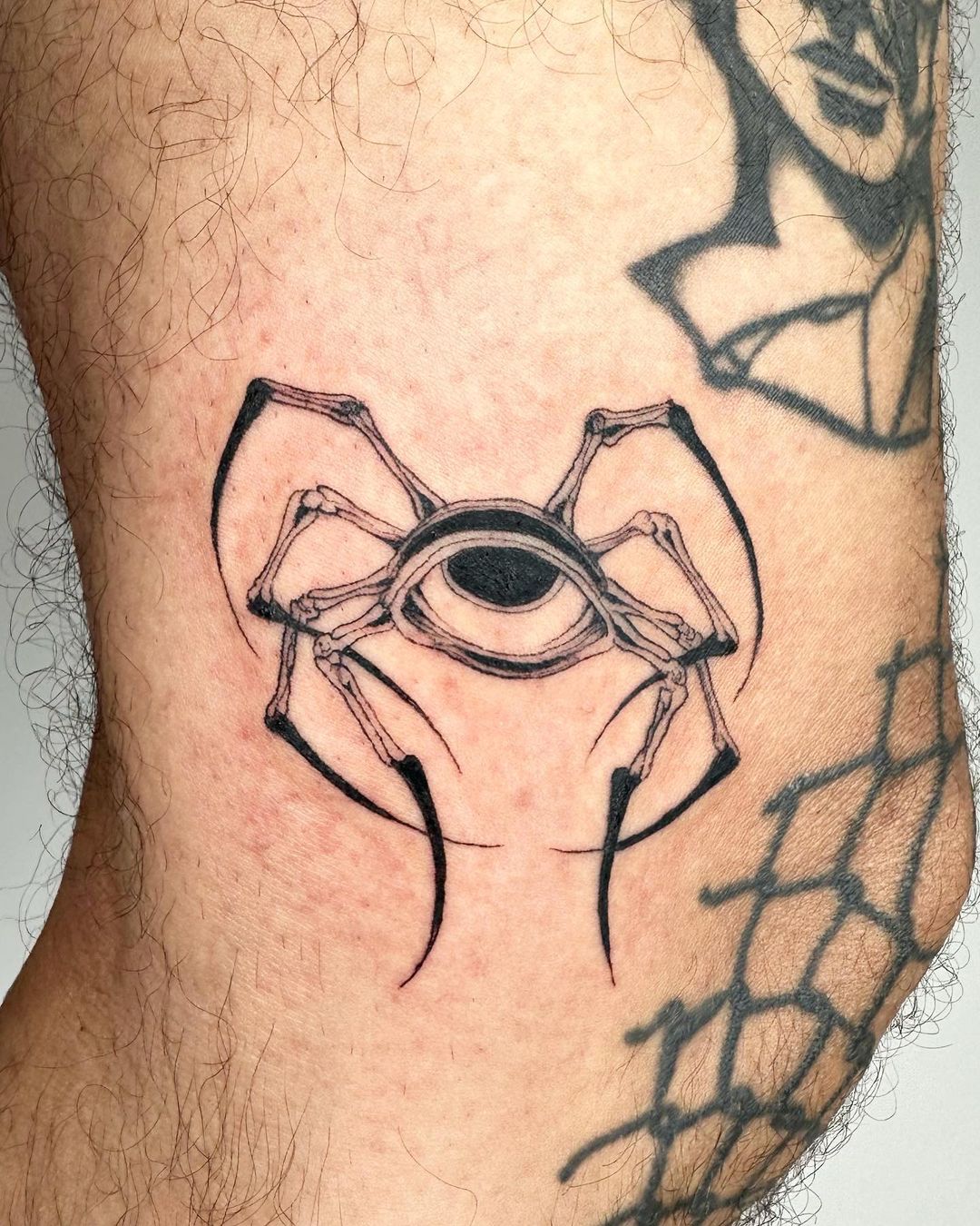 Ragno con un occhio