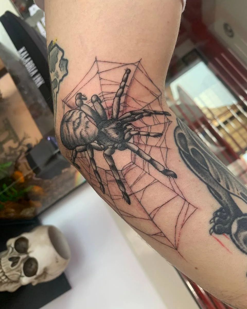 Tarantola tatuata da un uomo