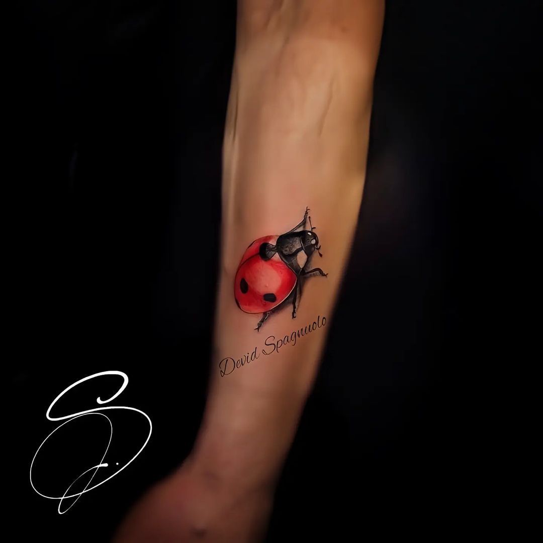 Tatuaggio che rappresenta una coccinella a colori