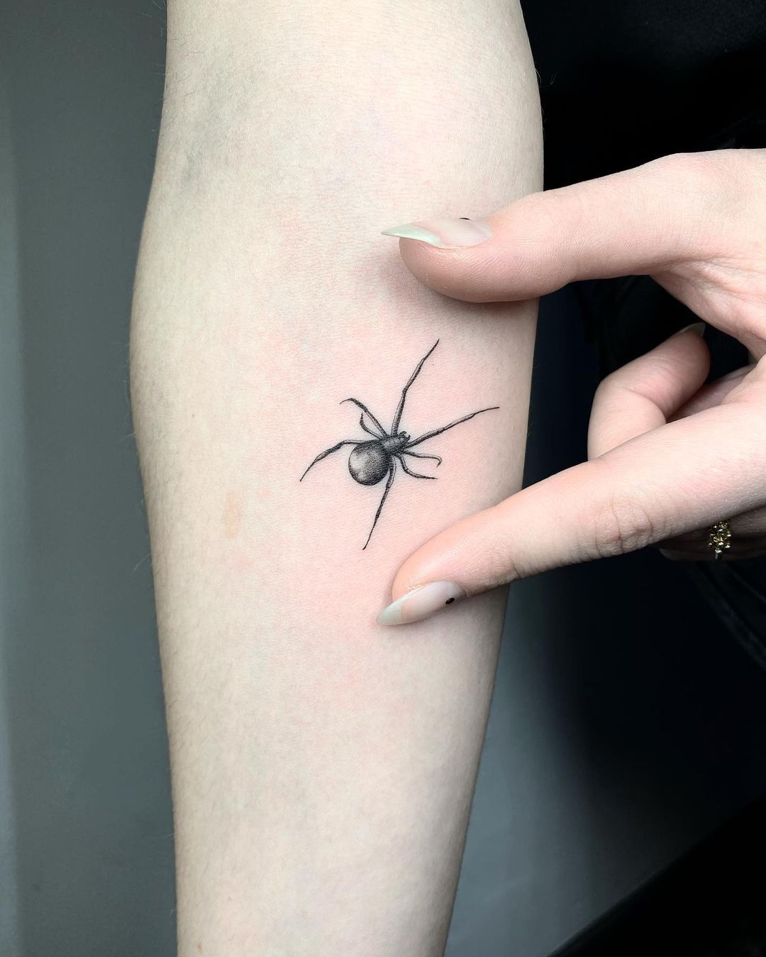 Tatuaggio di piccoli dimensioni ragno